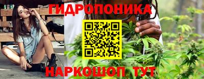jwh Будённовск