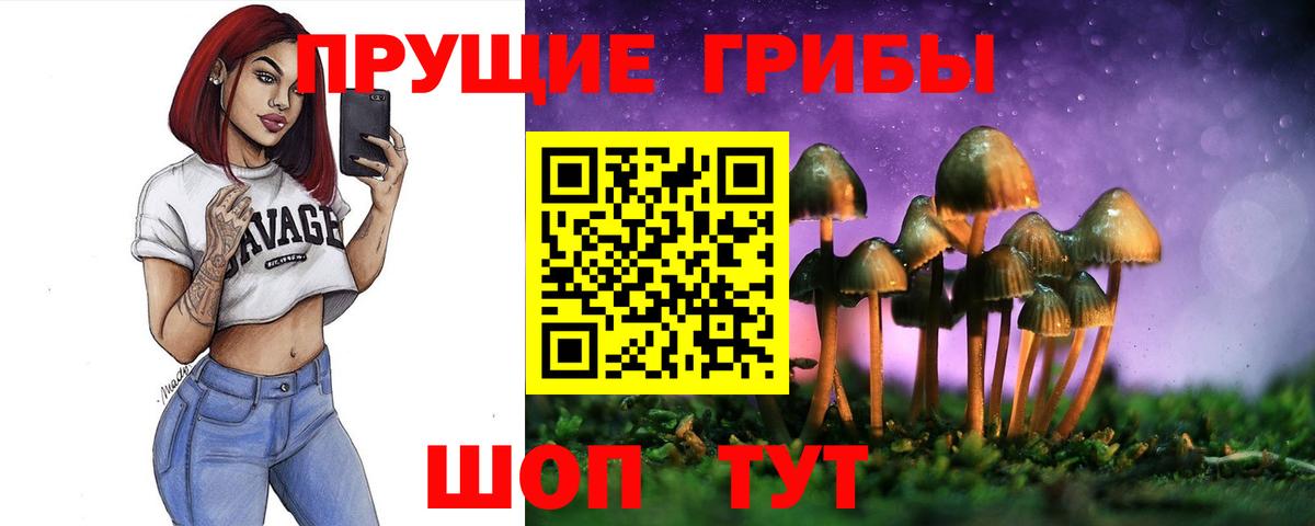 Галлюциногенные грибы Magic Shrooms  Вход с VPN  Рузаевка  Псилоцибиновые грибы Psilocybe 