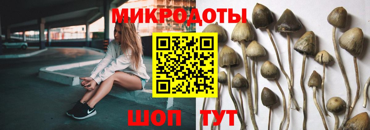 Галлюциногенные грибы мицелий Рузаевка